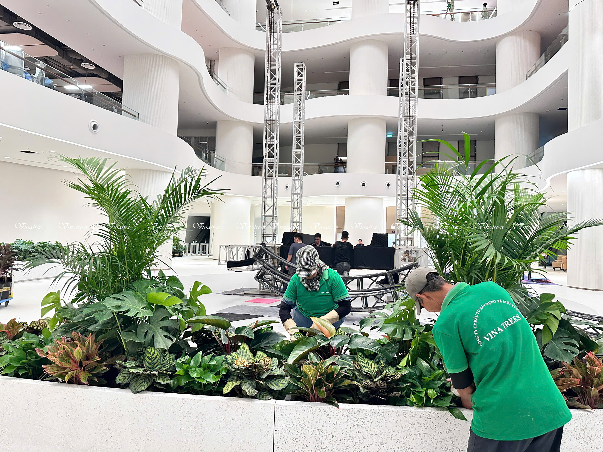 Vinatrees – Đơn Vị Thi Công & Cho Thuê Cây Xanh Uy Tín Hàng Đầu Tại Hà Nội